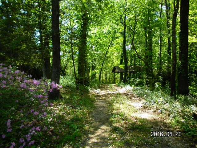 340 Irvin St, Cornelia, GA 30531 photo 4