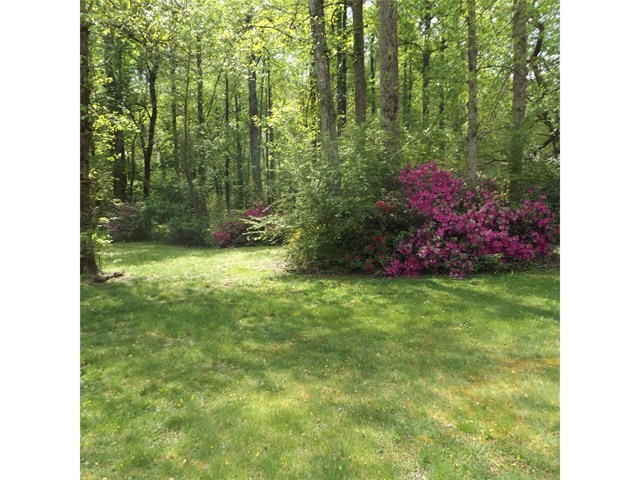 242 Dooley Dr, Toccoa, GA 30577 photo 21