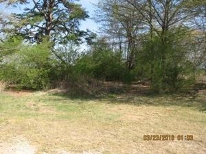 7250 Stonebridge Rd, Carnesville, GA 30521 photo 10