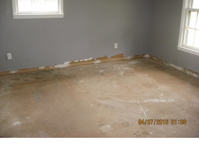 7250 Stonebridge Rd, Carnesville, GA 30521 photo 6