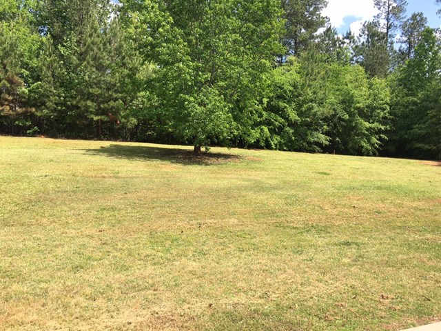 95 Berkshire Run, Covington, GA 30016 photo 15