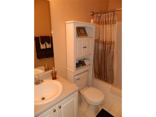 145 Mosby Creek Dr, Hampton, GA 30228 photo 12