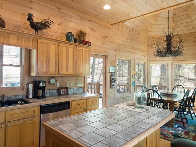 923 Picklesimer Mtn Rd, Morganton, GA 30560 photo 3