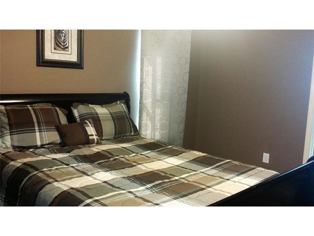 209 Cliff Nelson Rd, Euharlee, GA 30145 photo 8