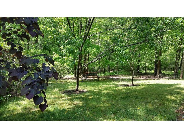 511 River Hill Rd, Cornelia, GA 30531 photo 23