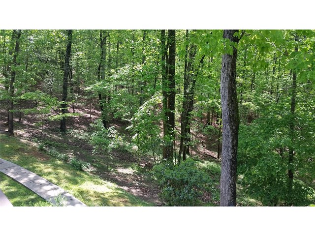 511 River Hill Rd, Cornelia, GA 30531 photo 17
