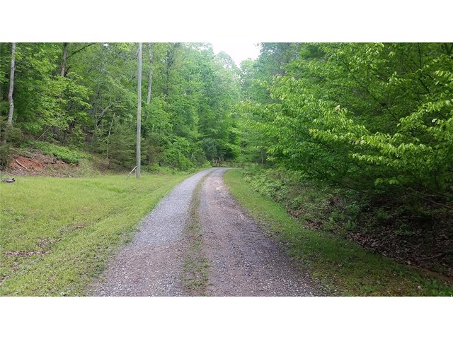 511 River Hill Rd, Cornelia, GA 30531 photo 25