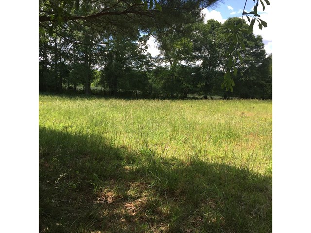 305 Gardner Rd, Temple, GA 30179 photo 3