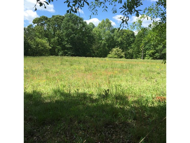 305 Gardner Rd, Temple, GA 30179 photo 4