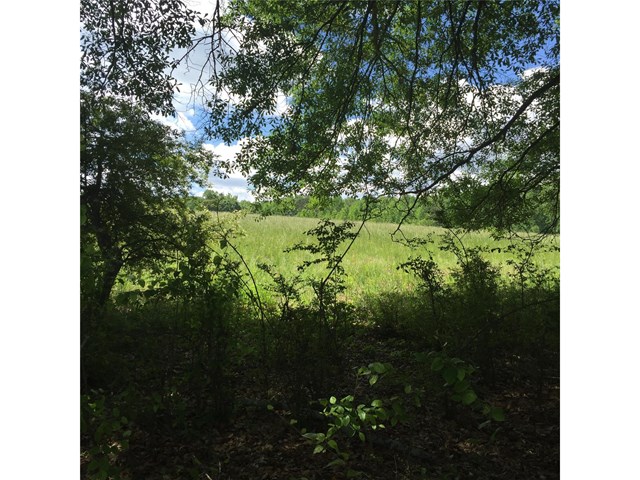305 Gardner Rd, Temple, GA 30179 photo 1
