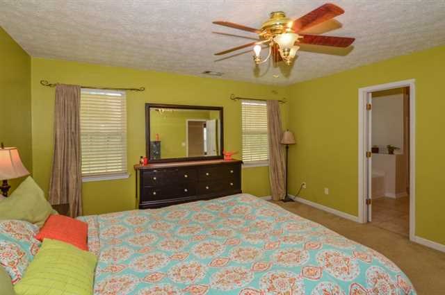 30 Greenville Ct, Hampton, GA 30228 photo 12