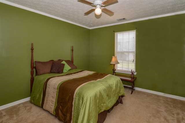 30 Greenville Ct, Hampton, GA 30228 photo 15