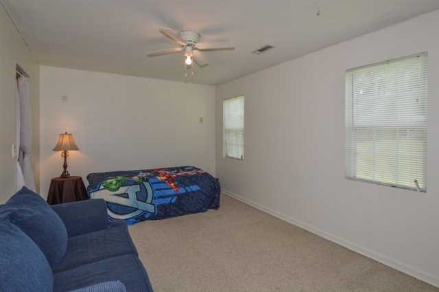 30 Greenville Ct, Hampton, GA 30228 photo 17
