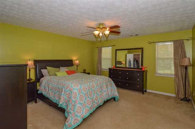 30 Greenville Ct, Hampton, GA 30228 photo 11