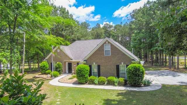 12802 Simmons Rd, Hampton, GA 30228 photo 1