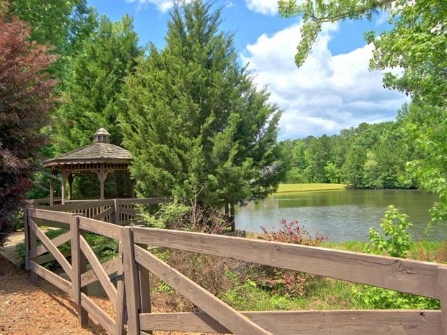 115 Pyron Pt, Tyrone, GA 30290 photo 25