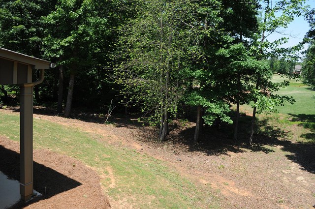 153 Mariahs Walk, Hampton, GA 30228 photo 5