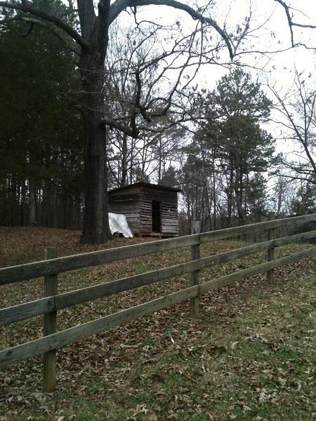 400 Camp Mikell Rd, Toccoa, GA 30577 photo 20