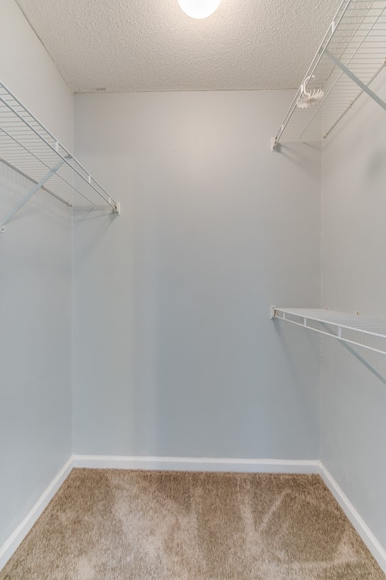 407 Shadowbrook, Springfield, GA 31329 photo 18