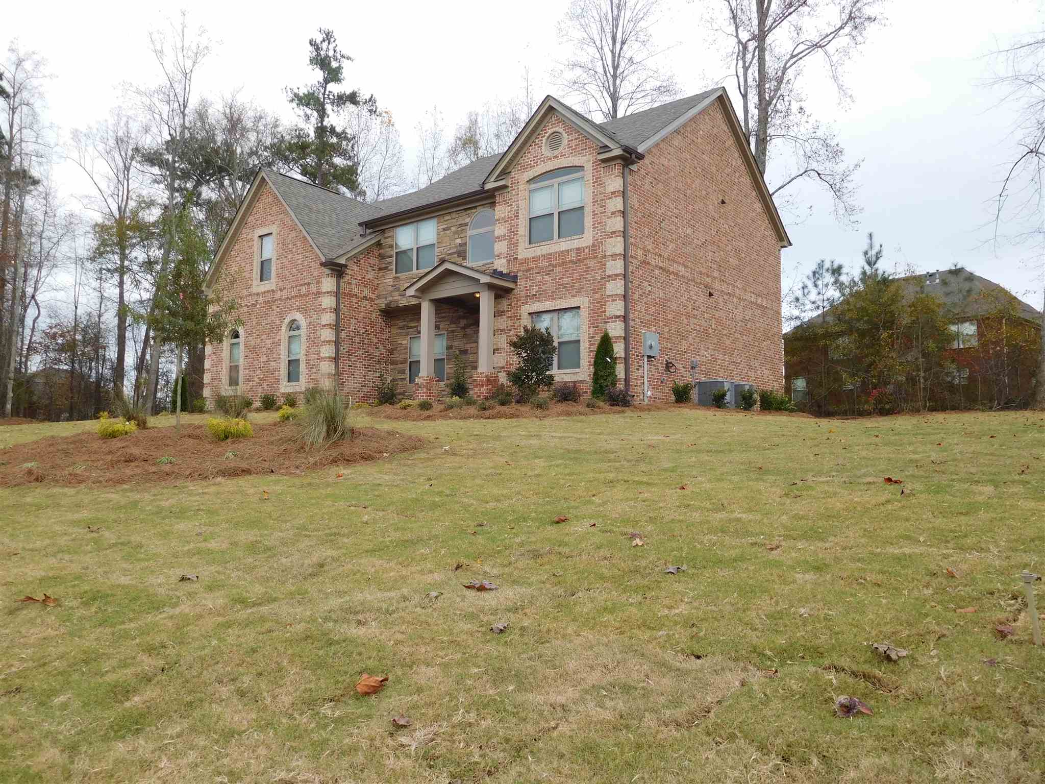 1309 Lanier Ct, Hampton, GA 30228 photo 3