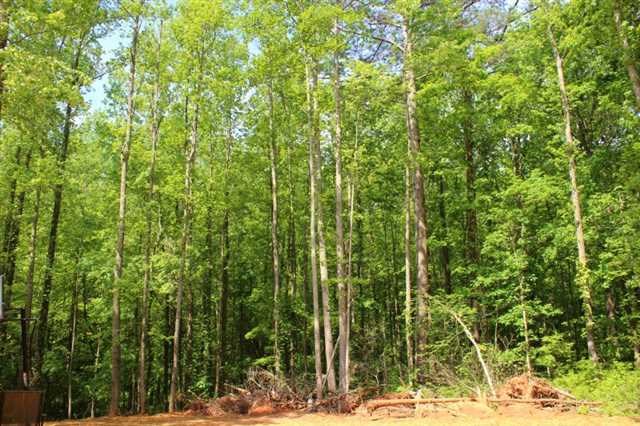 910 Martin Ln, Canton, GA 30114 photo 13