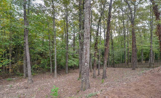 1795 Ridgemill Ter, Dacula, GA 30019 photo 24