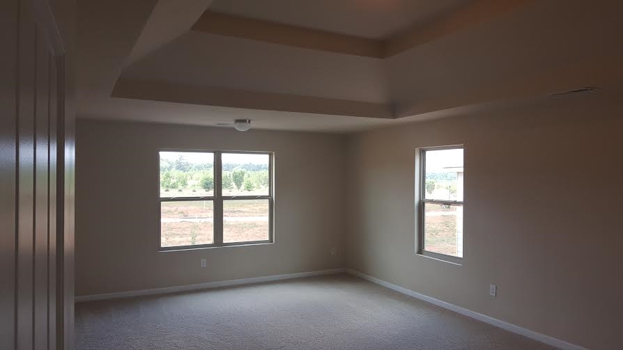 1336 Worcester Trl, Mcdonough, GA 30253 photo 9