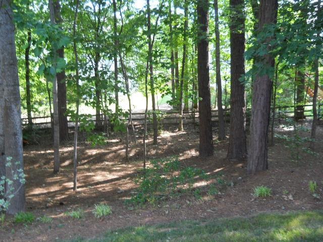 11000 Glenhurst Pass, Duluth, GA 30097 photo 4