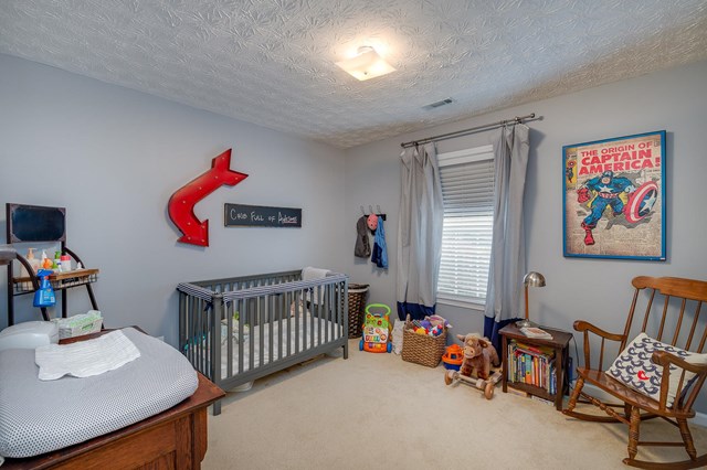 2019 Elm Grove Ln, Hampton, GA 30228 photo 15