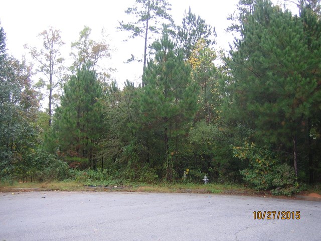 442 Misty Brook Ct, Hampton, GA 30228 photo 1