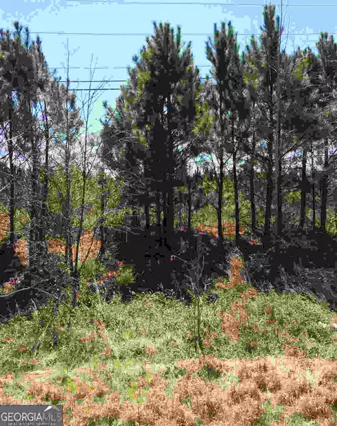 101 Bonner Rd, Carrollton, GA 30117 photo 8