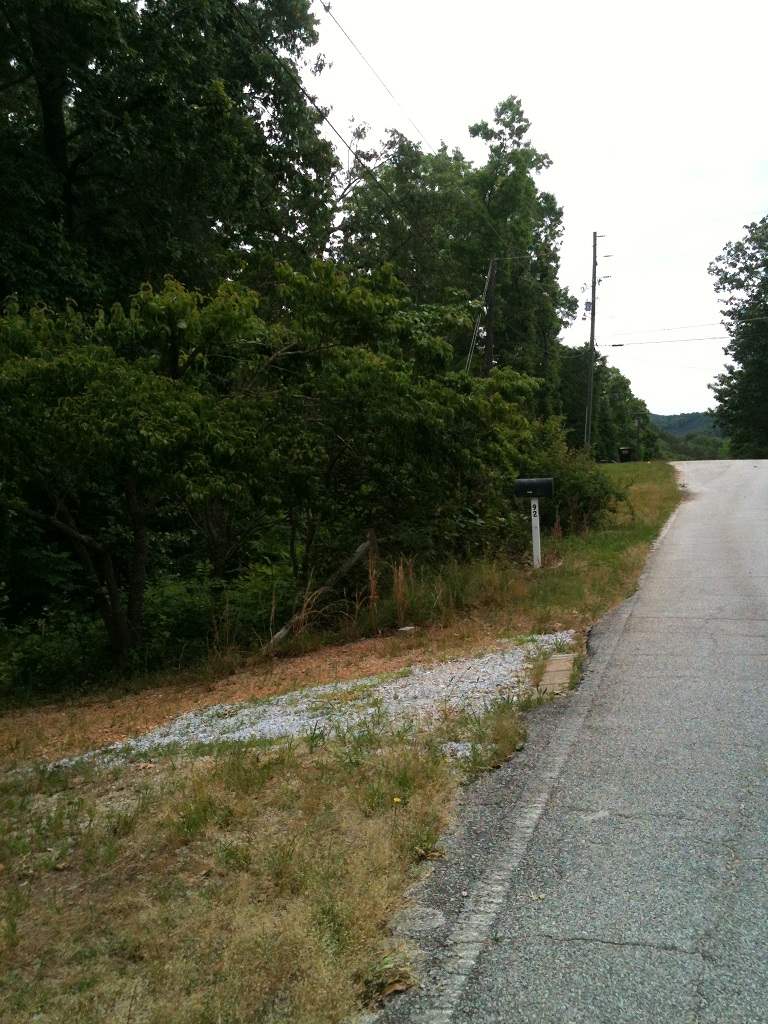 110 Shorewood Cir, Toccoa, GA 30577 photo 15