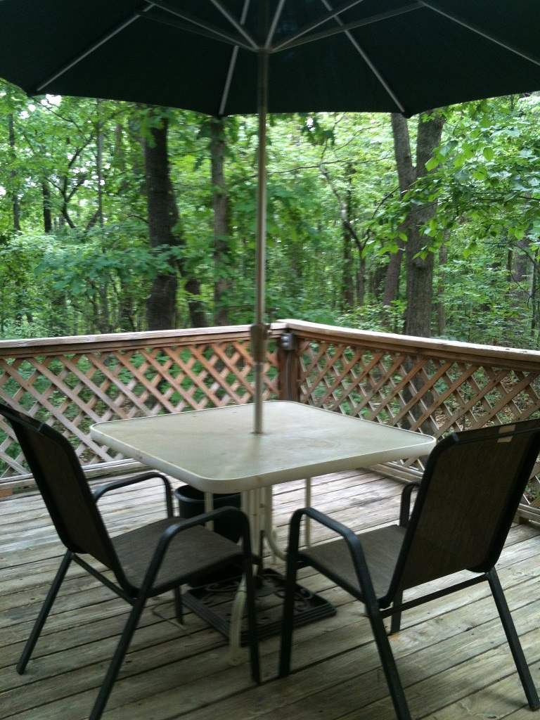 110 Shorewood Cir, Toccoa, GA 30577 photo 10