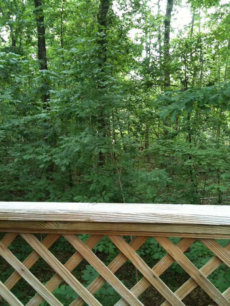 110 Shorewood Cir, Toccoa, GA 30577 photo 12