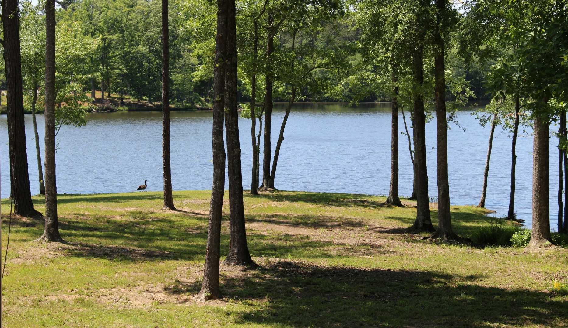 403 Lakeview Way, Lagrange, GA 30241 photo 16