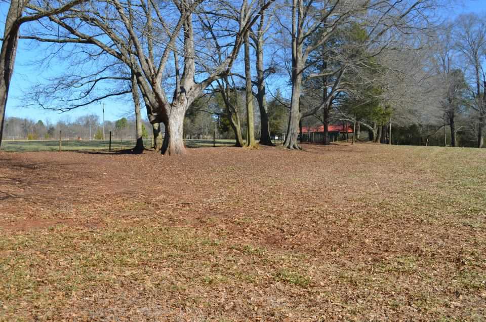 423 Goolsby Rd, Carnesville, GA 30521 photo 14