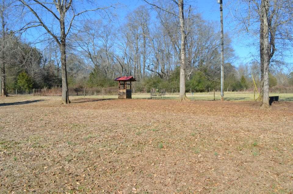 423 Goolsby Rd, Carnesville, GA 30521 photo 15