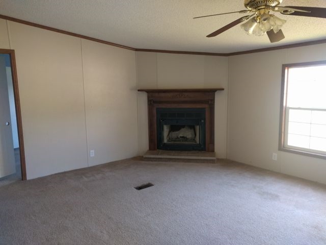 219 Rivers Rd, Williamson, GA 30292 photo 11