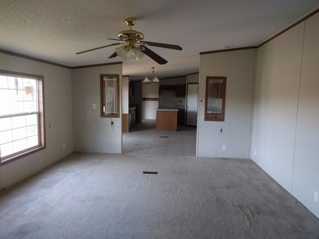 219 Rivers Rd, Williamson, GA 30292 photo 12