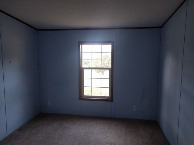 219 Rivers Rd, Williamson, GA 30292 photo 13