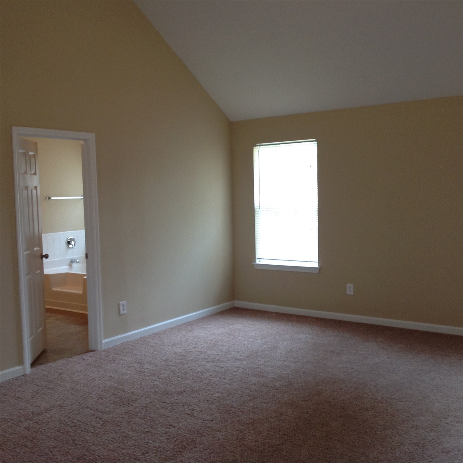 265 Othello Dr, Hampton, GA 30228 photo 22