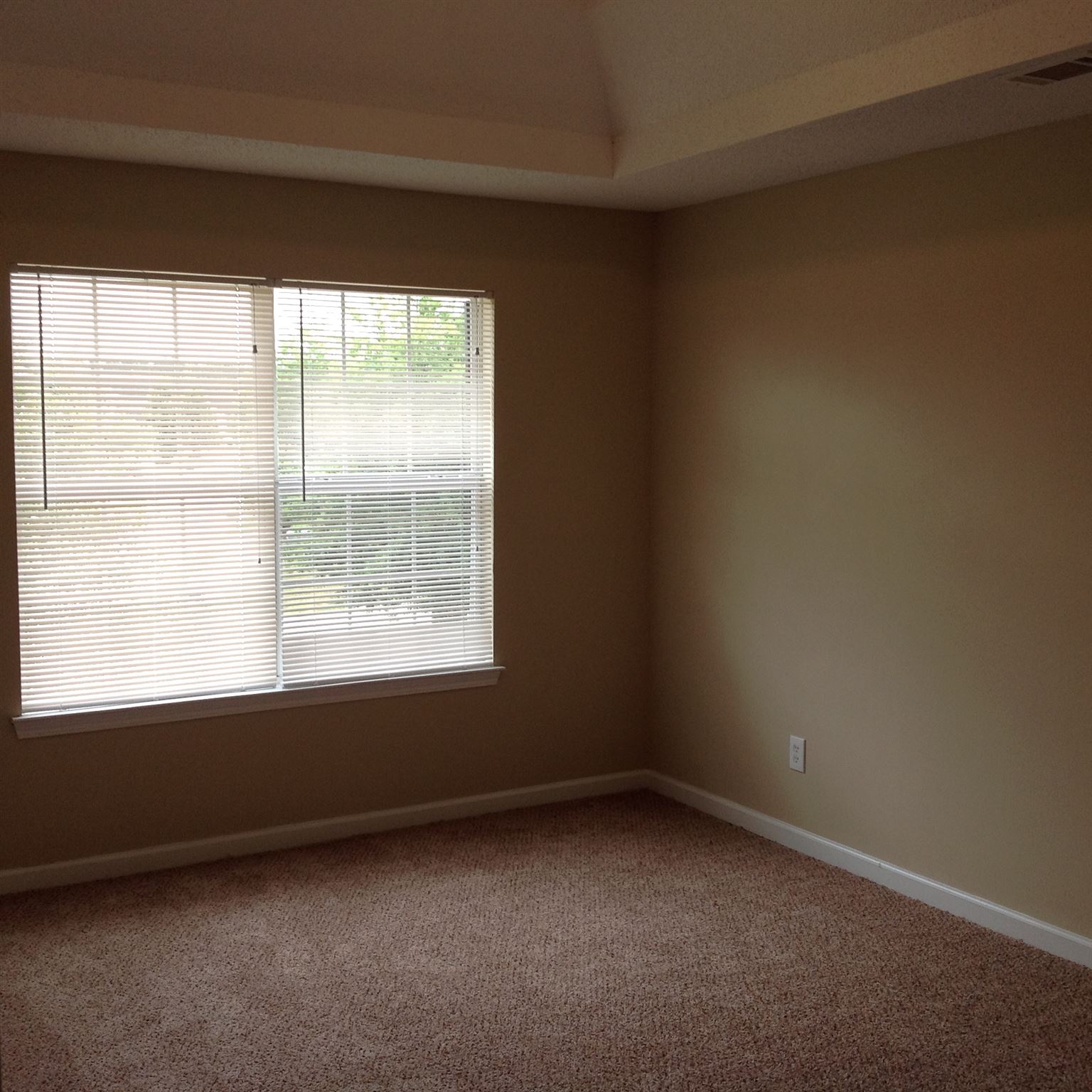 265 Othello Dr, Hampton, GA 30228 photo 15