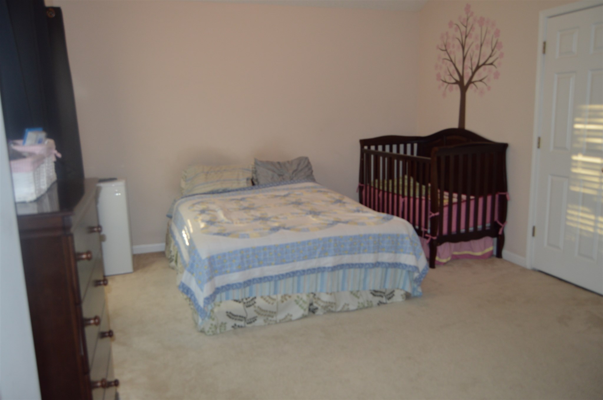 199 Galway Ln, Hampton, GA 30228 photo 5
