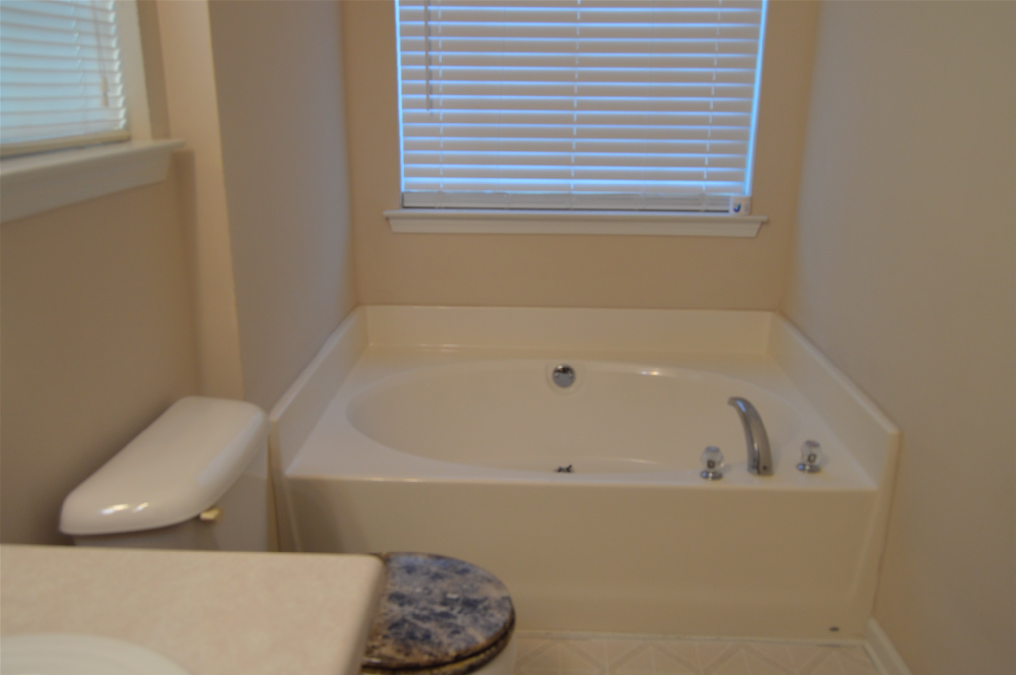 199 Galway Ln, Hampton, GA 30228 photo 10