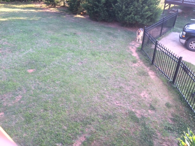 122 Diamond Ct, Carrollton, GA 30117 photo 9