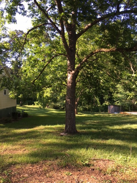521 Francis St, Valley, AL 36854 photo 3