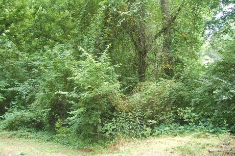 809 Campbell Ln, Athens, GA 30606 photo 2