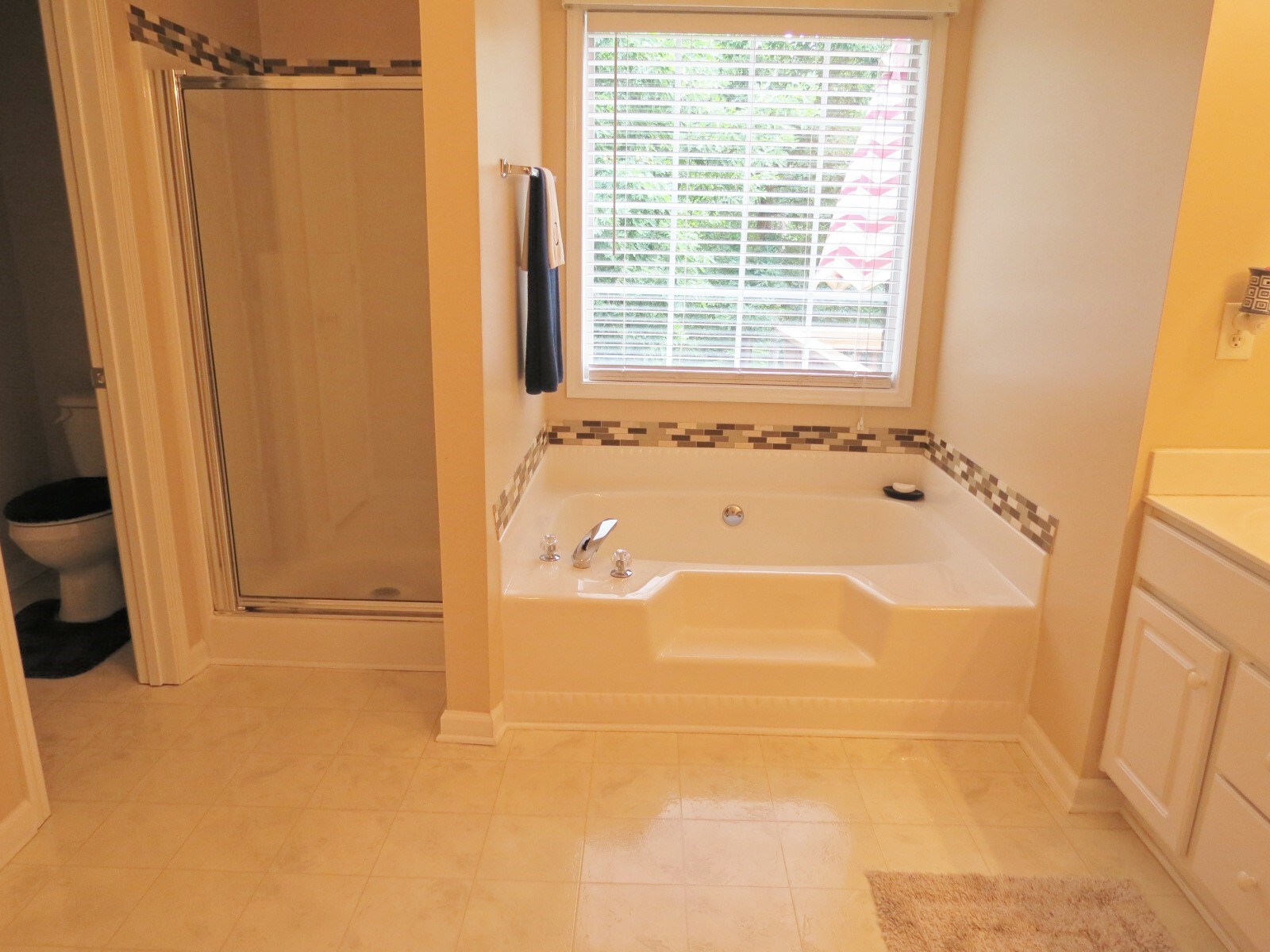 236 Windy Cir, Mcdonough, GA 30253 photo 19