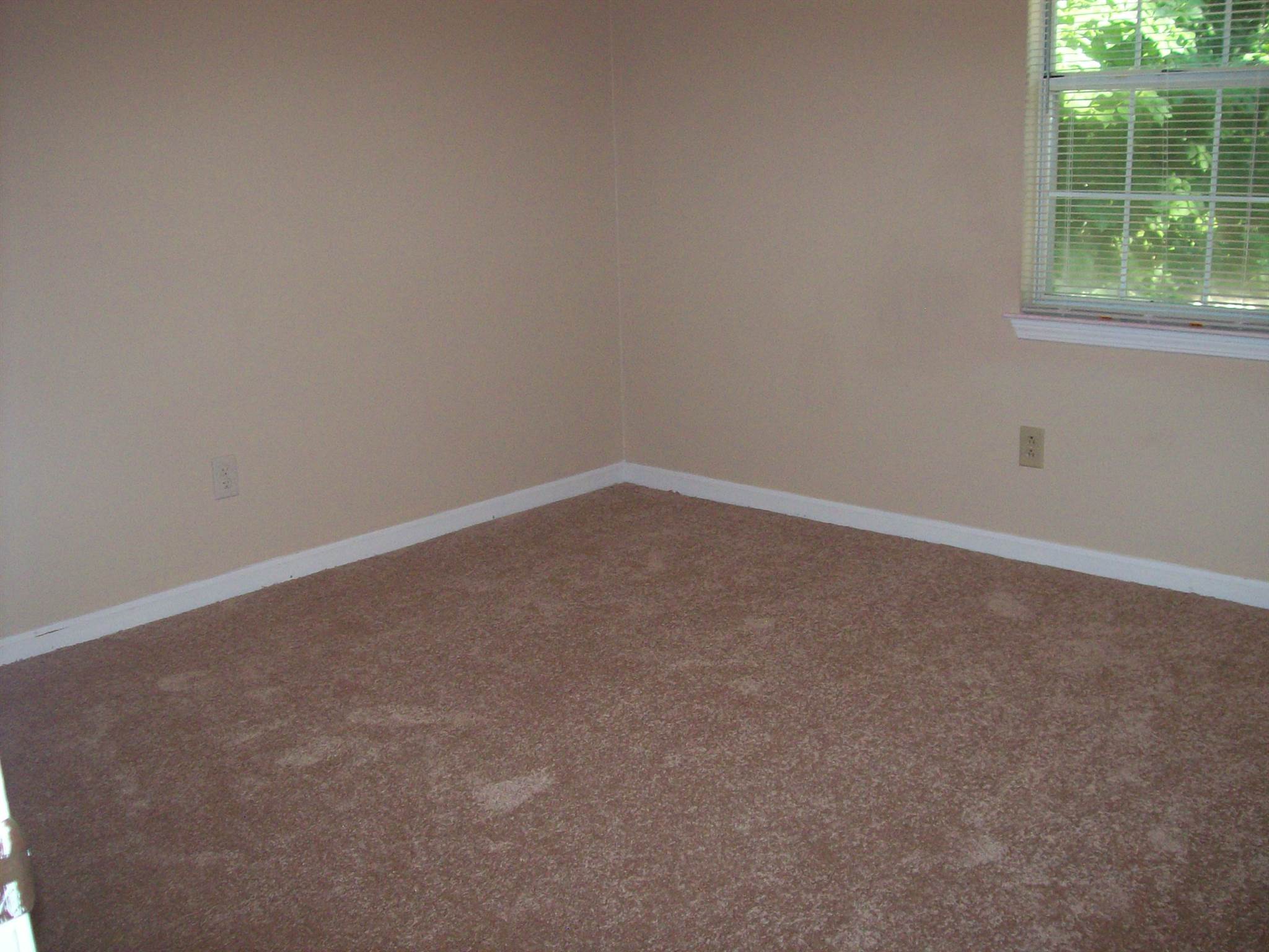 158 Dailey Walk, Mcdonough, GA 30253 photo 22