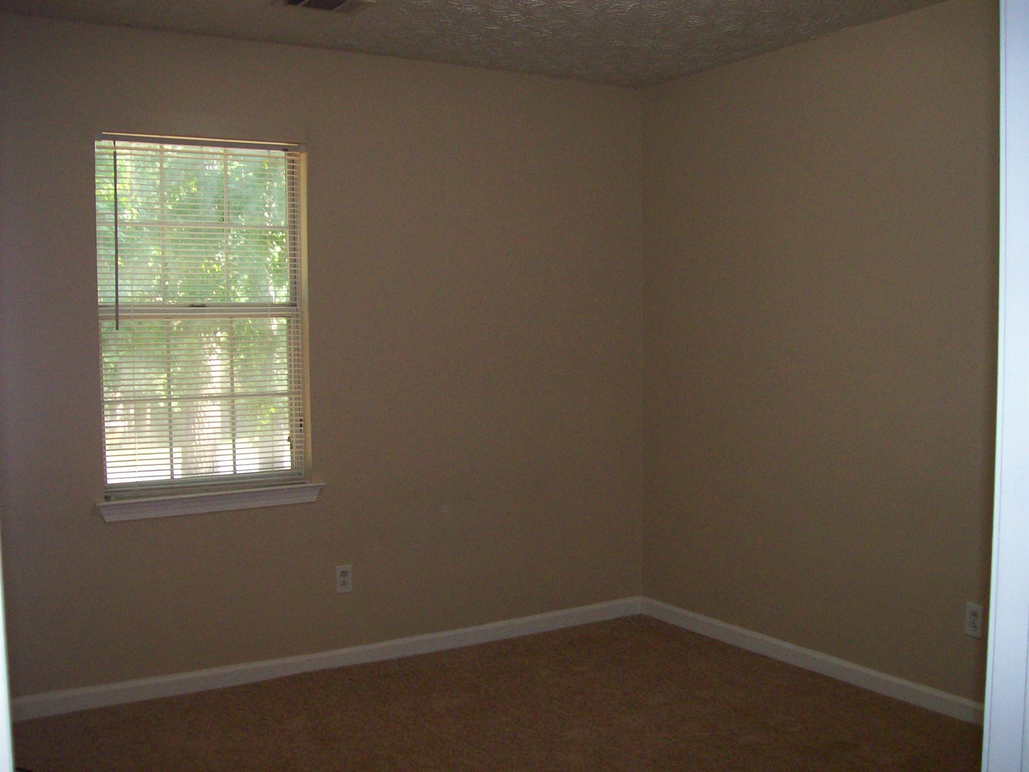 158 Dailey Walk, Mcdonough, GA 30253 photo 21